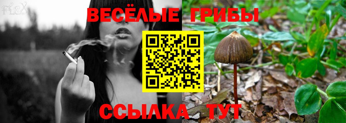 Галлюциногенные грибы GOLDEN TEACHER Шебекино